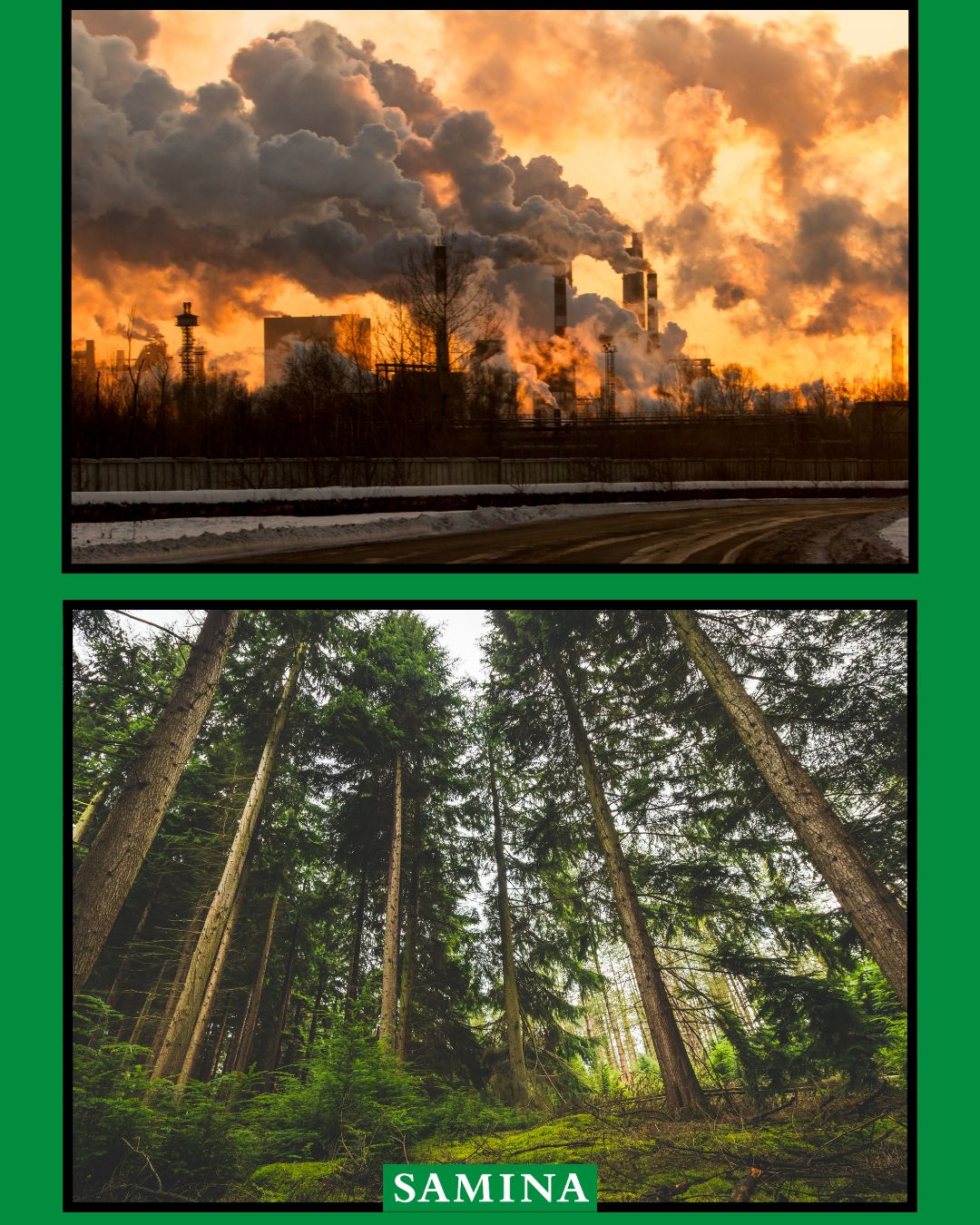 image of a factory above a green forest with caption where would you rather sleep